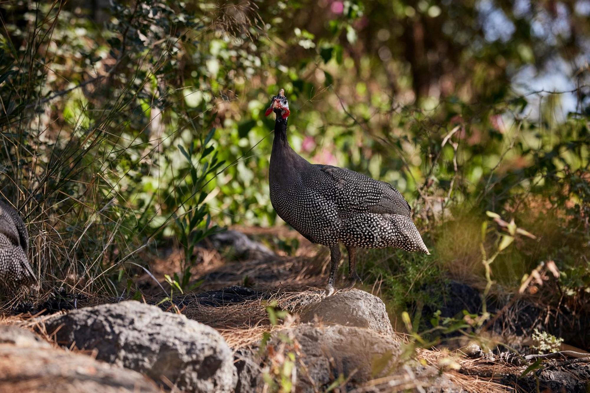 Robinson Sarigerme Park Ξενοδοχείο Dalaman Εξωτερικό φωτογραφία